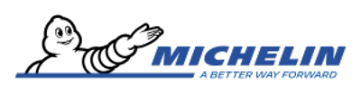 Michelin 8304 Catene neve Easy Grip Evolution gruppo EVO 4